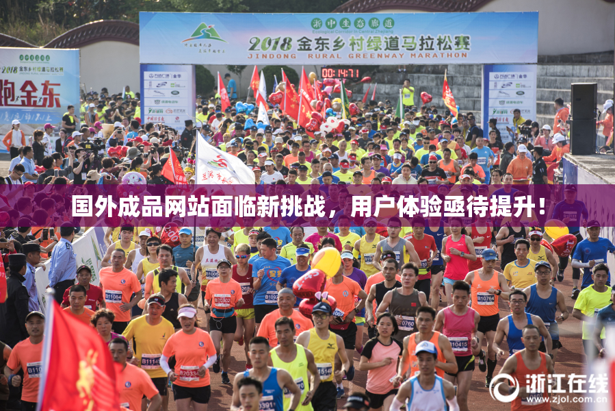 国外成品网站面临新挑战，用户体验亟待提升！