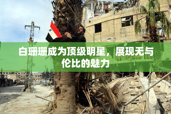 白珊珊成为顶级明星，展现无与伦比的魅力