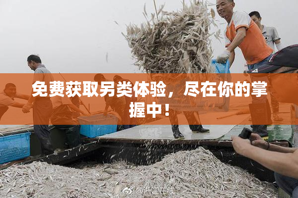 免费获取另类体验，尽在你的掌握中！
