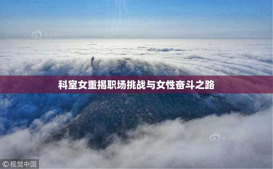 科室女重揭职场挑战与女性奋斗之路