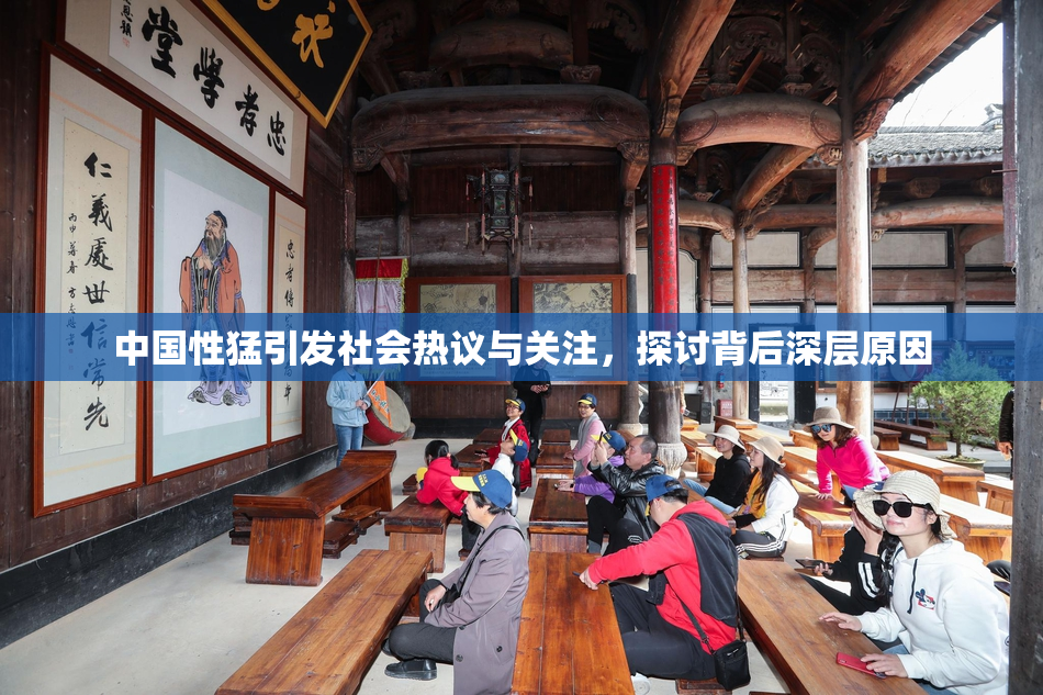 中国性猛引发社会热议与关注，探讨背后深层原因