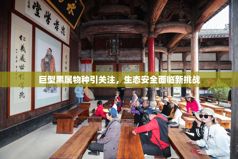 巨型黑属物种引关注，生态安全面临新挑战