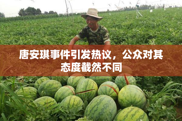 唐安琪事件引发热议，公众对其态度截然不同