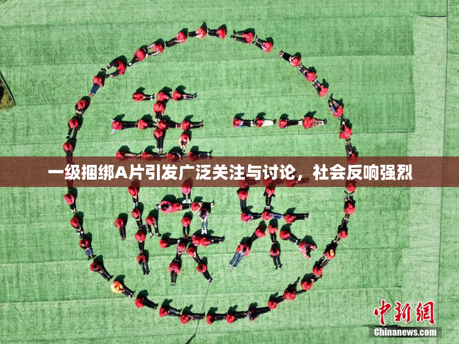 一级捆绑A片引发广泛关注与讨论，社会反响强烈