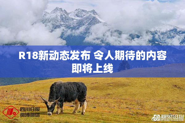 R18新动态发布 令人期待的内容即将上线