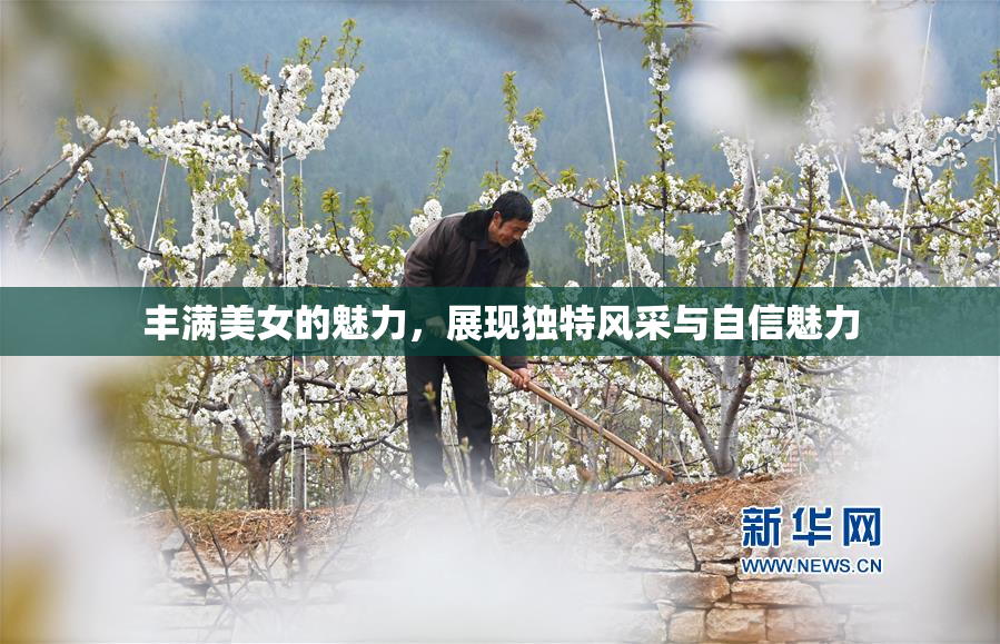 丰满美女的魅力，展现独特风采与自信魅力