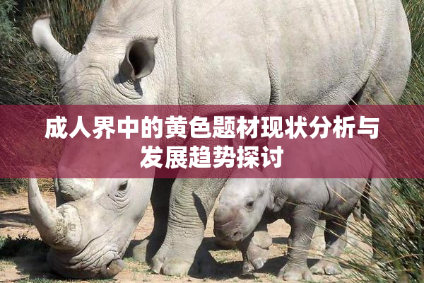 成人界中的黄色题材现状分析与发展趋势探讨