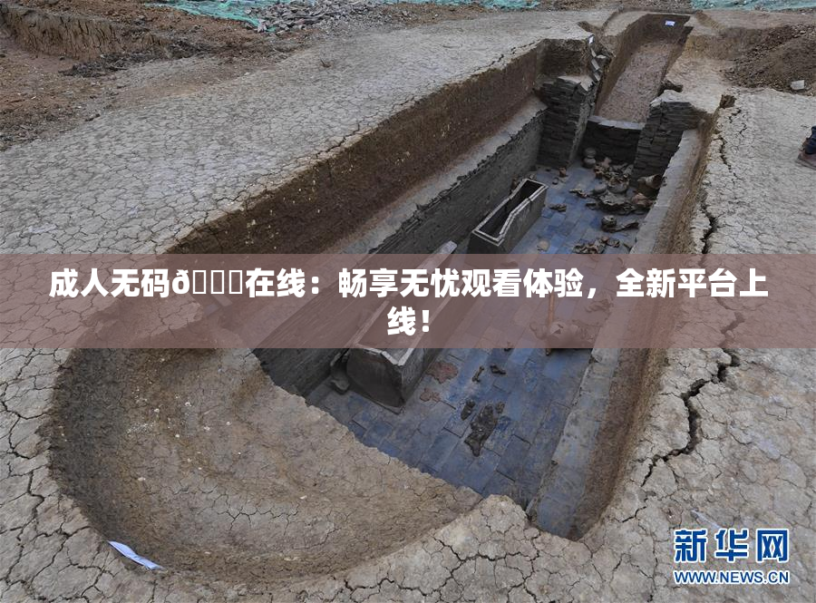 成人无码🔞在线：畅享无忧观看体验，全新平台上线！