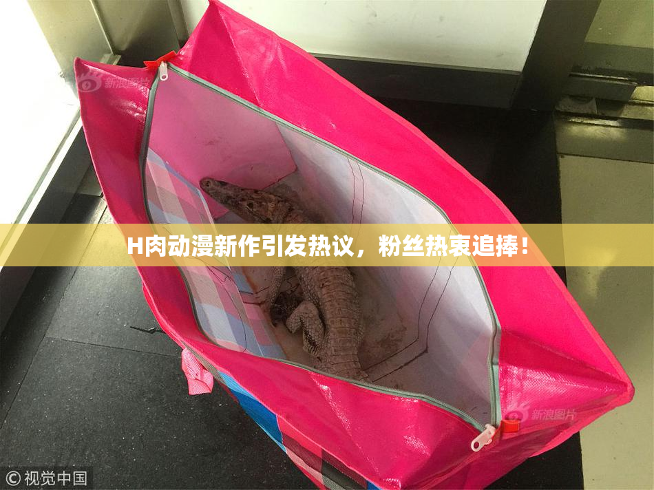 H肉动漫新作引发热议，粉丝热衷追捧！