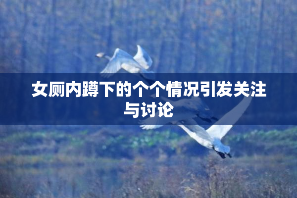 女厕内蹲下的个个情况引发关注与讨论