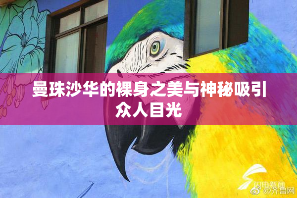 曼珠沙华的裸身之美与神秘吸引众人目光