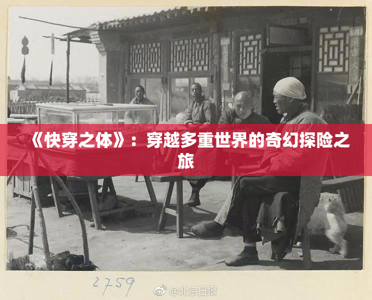 《快穿之体》：穿越多重世界的奇幻探险之旅