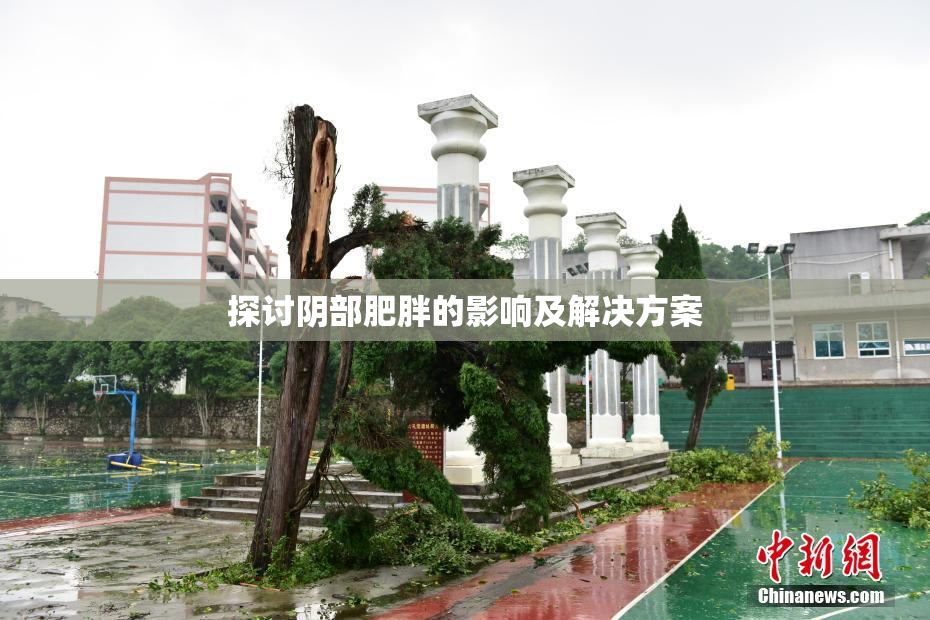 探讨阴部肥胖的影响及解决方案