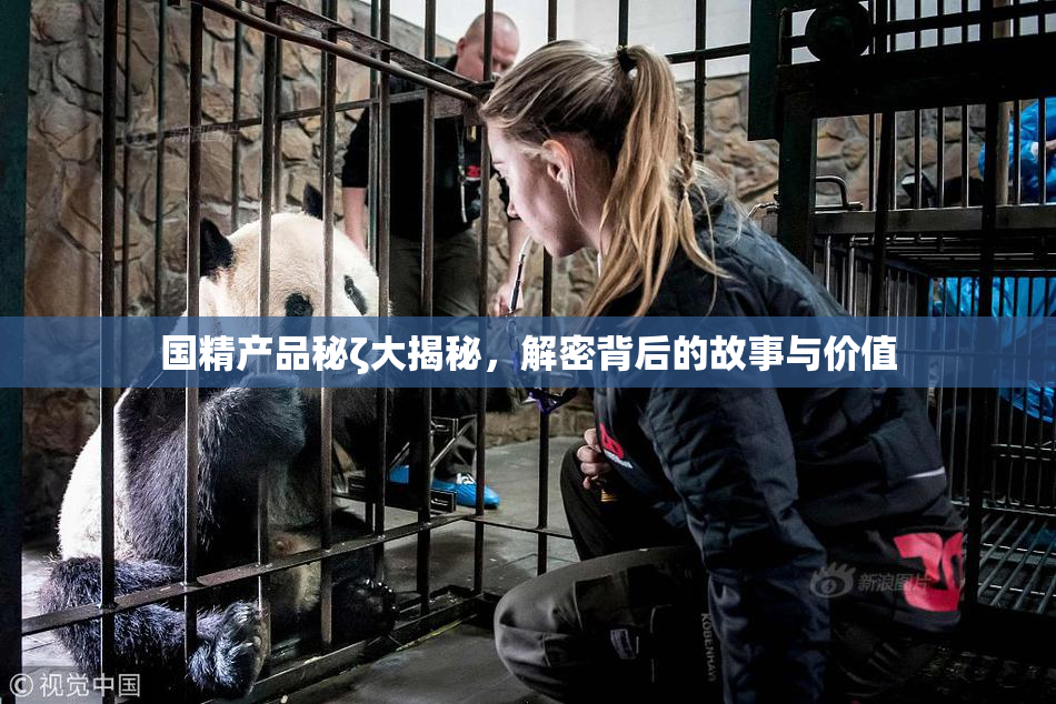 国精产品秘ζ大揭秘，解密背后的故事与价值