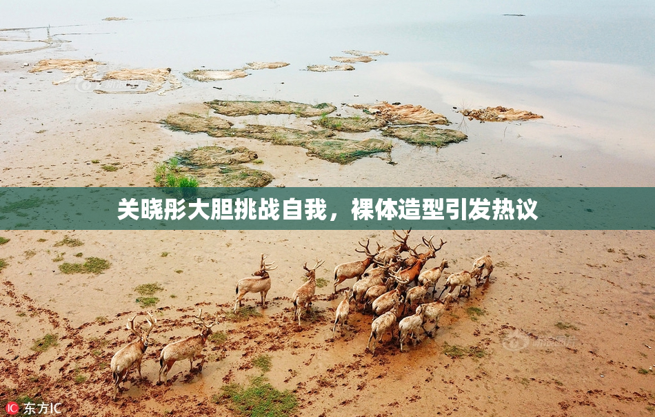 关晓彤大胆挑战自我，裸体造型引发热议