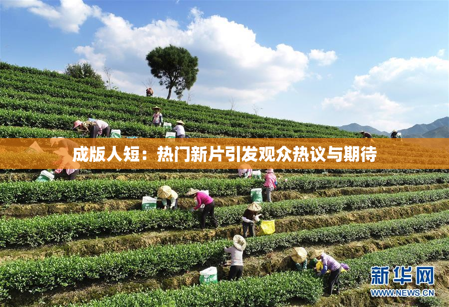 成版人短：热门新片引发观众热议与期待