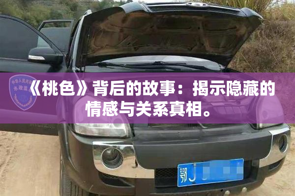 《桃色》背后的故事：揭示隐藏的情感与关系真相。
