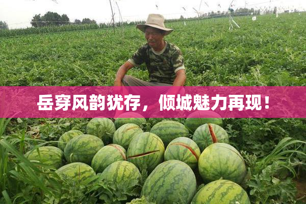 岳穿风韵犹存，倾城魅力再现！