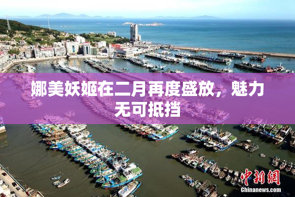 娜美妖姬在二月再度盛放，魅力无可抵挡