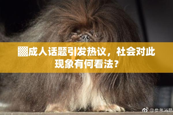 ▓成人话题引发热议，社会对此现象有何看法？