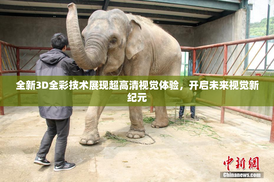 全新3D全彩技术展现超高清视觉体验，开启未来视觉新纪元