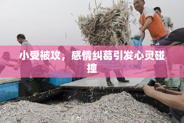 小受被攻，感情纠葛引发心灵碰撞
