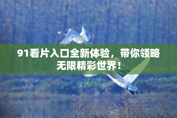 91看片入口全新体验，带你领略无限精彩世界！