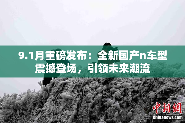 9.1月重磅发布：全新国产n车型震撼登场，引领未来潮流