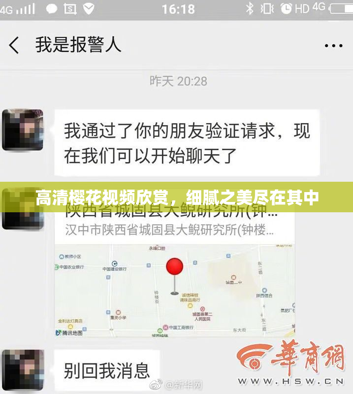 高清樱花视频欣赏，细腻之美尽在其中
