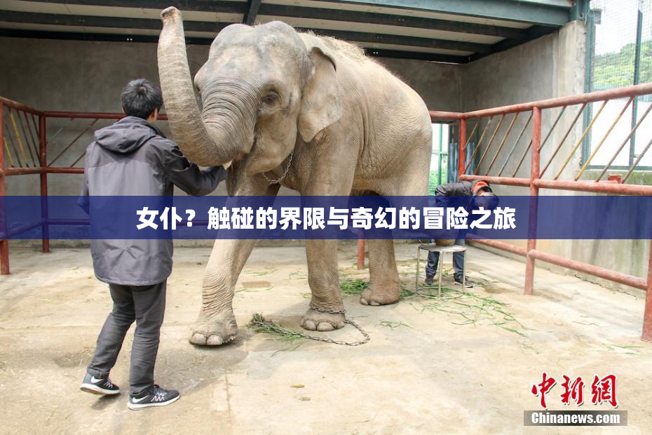 女仆？触碰的界限与奇幻的冒险之旅