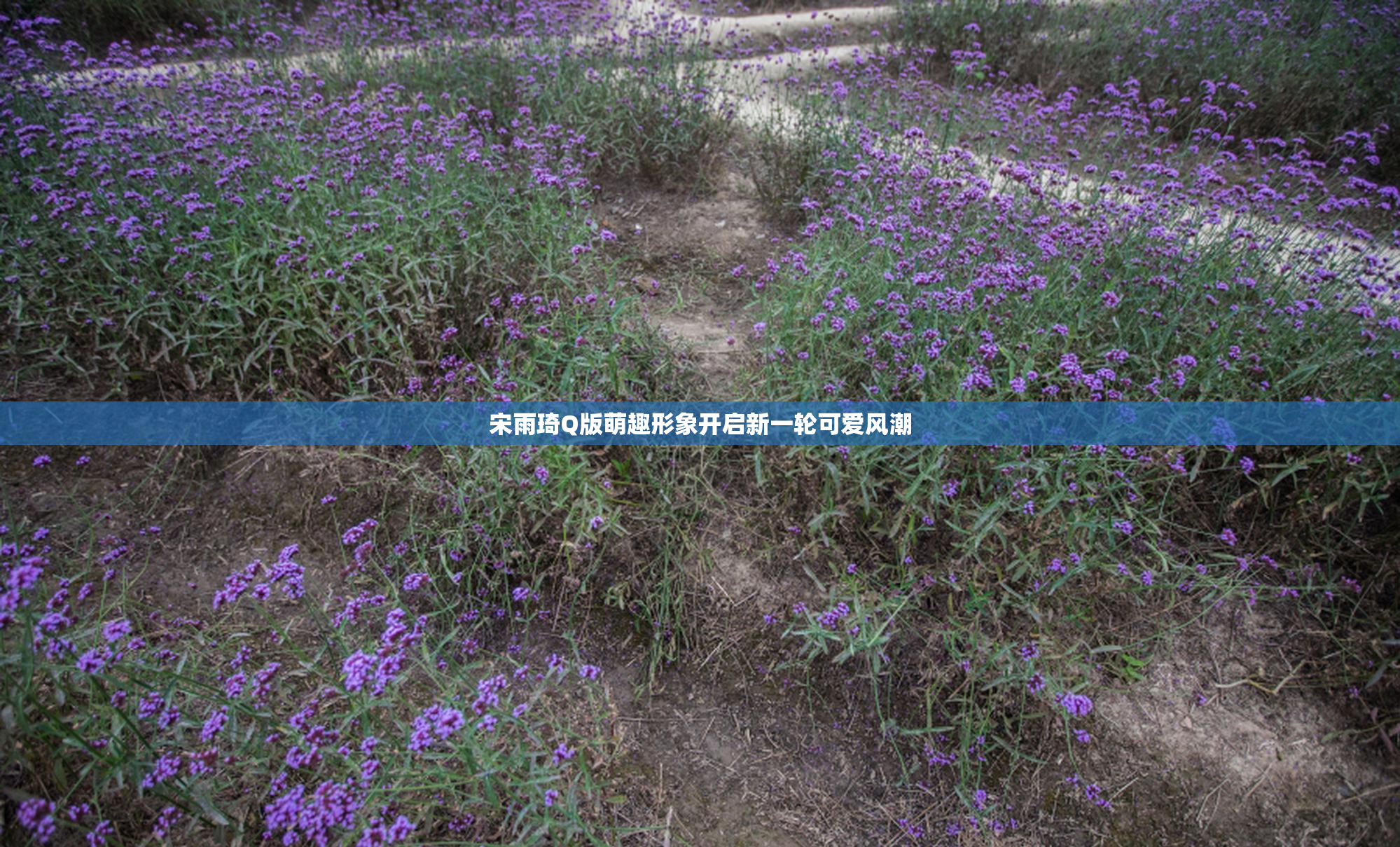 宋雨琦Q版萌趣形象开启新一轮可爱风潮