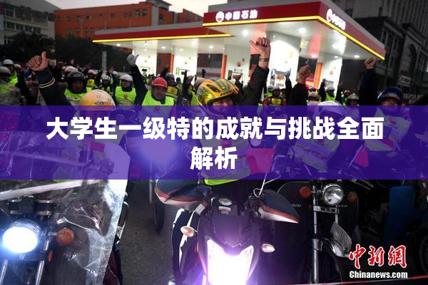大学生一级特的成就与挑战全面解析