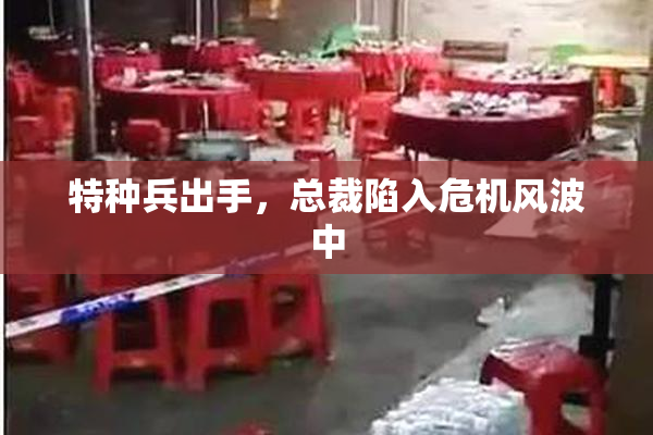 特种兵出手，总裁陷入危机风波中