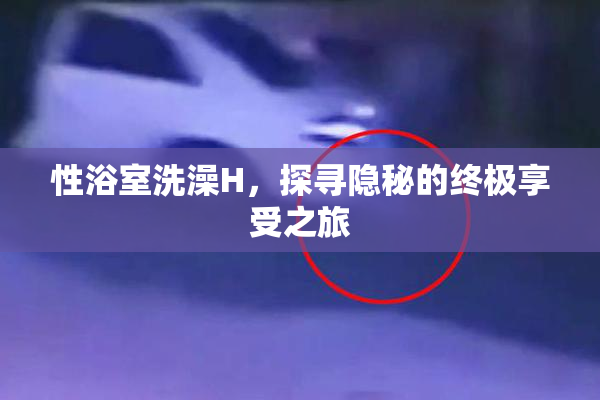 性浴室洗澡H，探寻隐秘的终极享受之旅