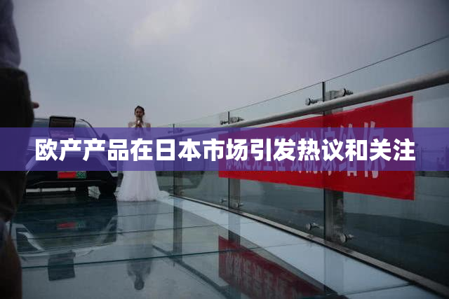 欧产产品在日本市场引发热议和关注