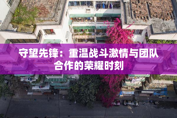 守望先锋：重温战斗激情与团队合作的荣耀时刻
