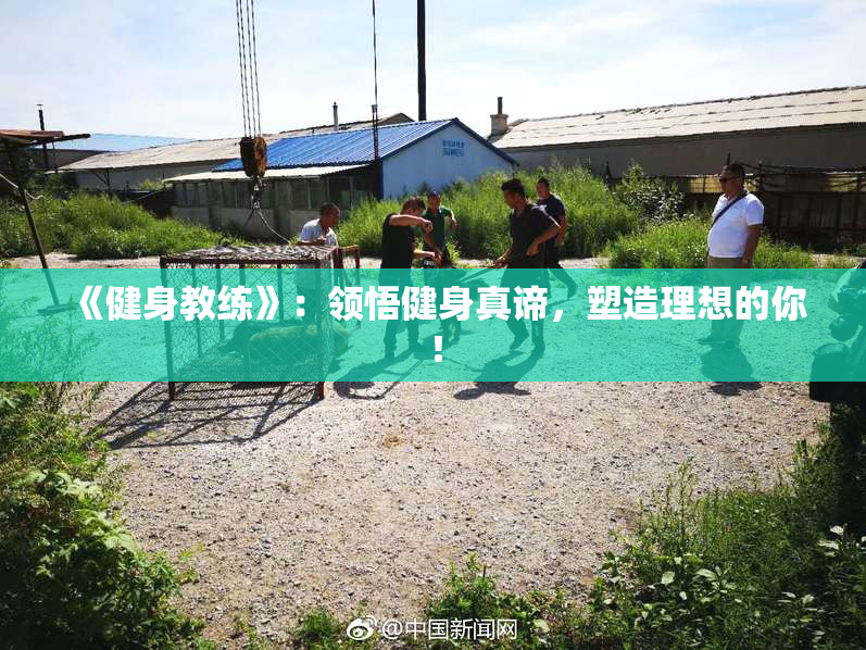 《健身教练》：领悟健身真谛，塑造理想的你！