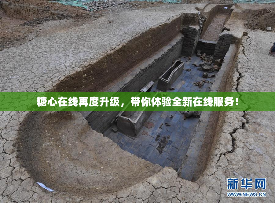 糖心在线再度升级，带你体验全新在线服务！