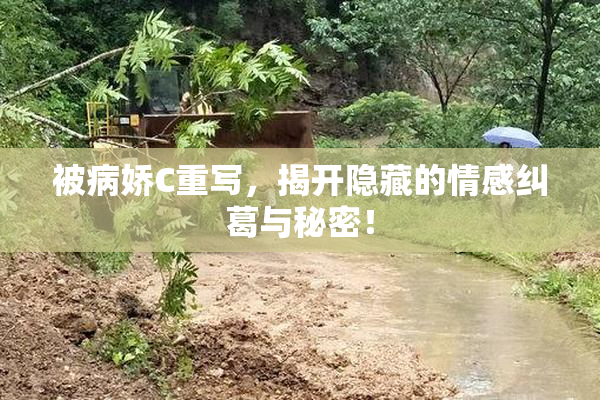 被病娇C重写，揭开隐藏的情感纠葛与秘密！