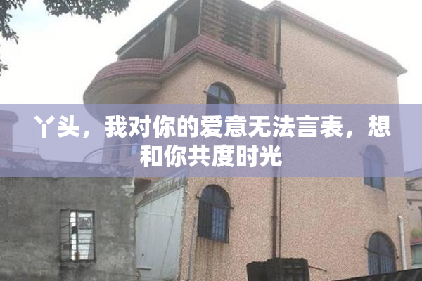 丫头，我对你的爱意无法言表，想和你共度时光