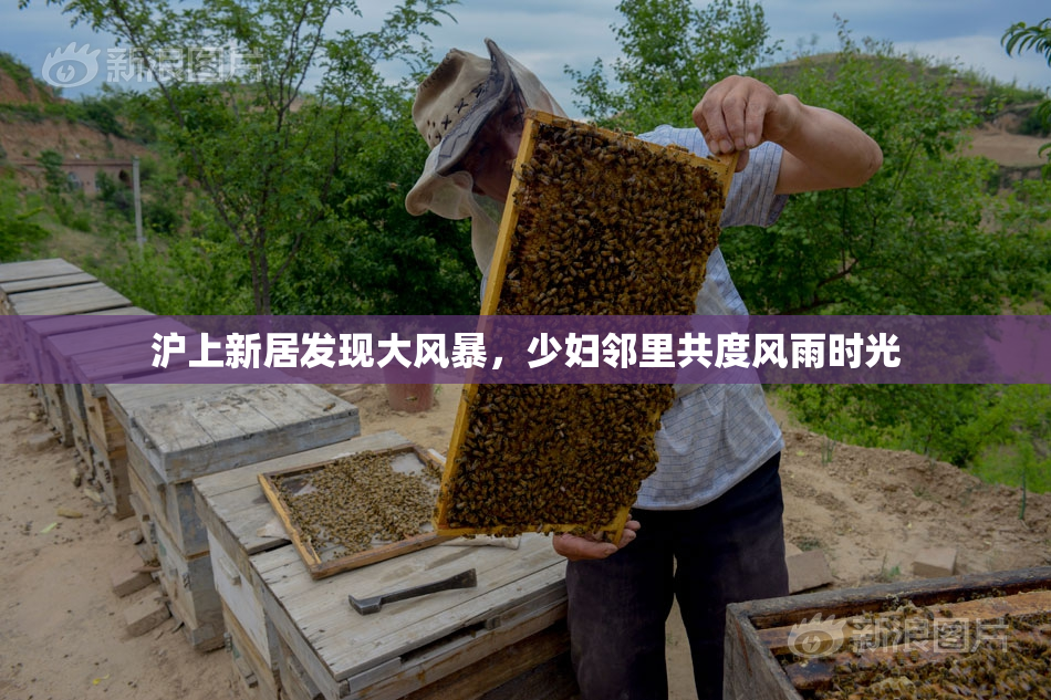沪上新居发现大风暴，少妇邻里共度风雨时光