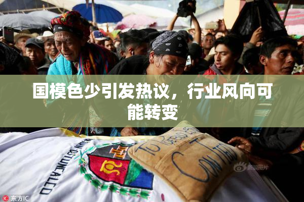 国模色少引发热议，行业风向可能转变