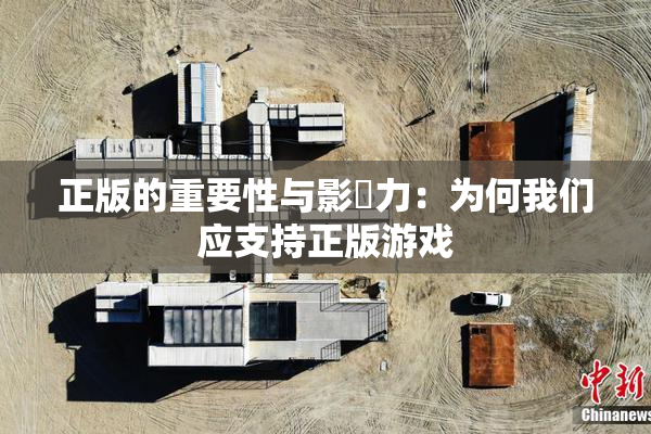 正版的重要性与影響力：为何我们应支持正版游戏