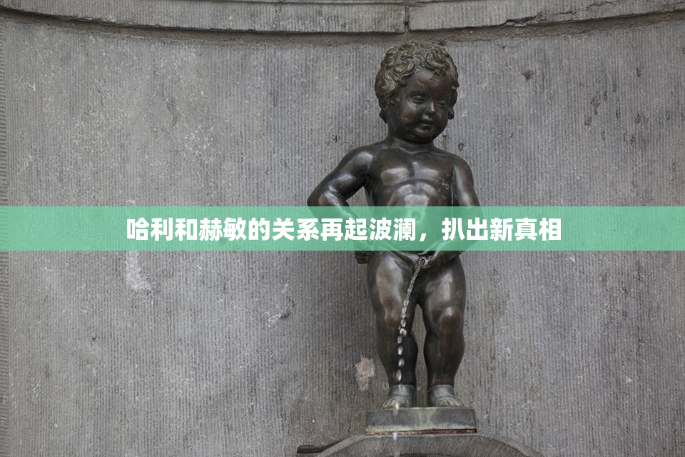 哈利和赫敏的关系再起波澜，扒出新真相