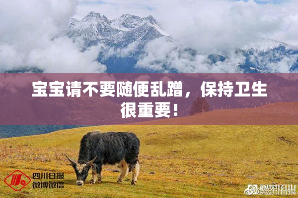 宝宝请不要随便乱蹭，保持卫生很重要！
