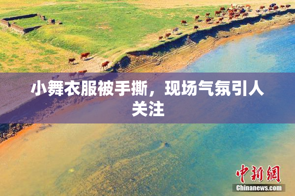 小舞衣服被手撕，现场气氛引人关注