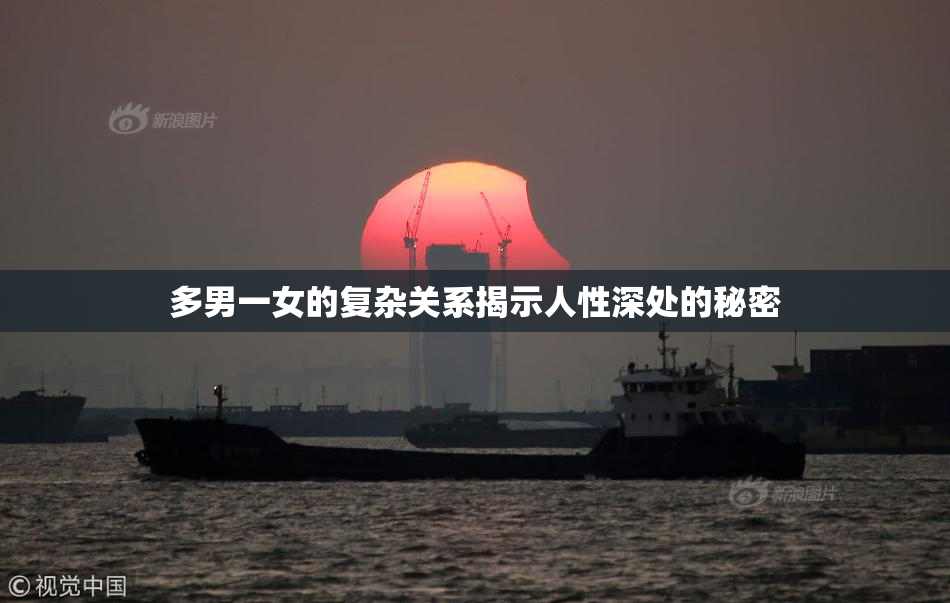 多男一女的复杂关系揭示人性深处的秘密
