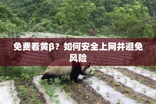 免费看黄β？如何安全上网并避免风险