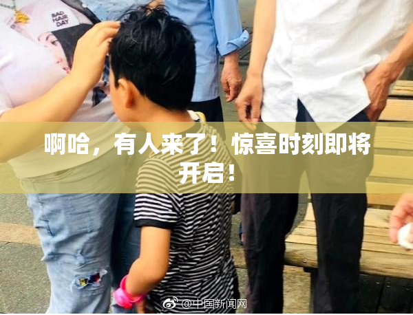 啊哈，有人来了！惊喜时刻即将开启！