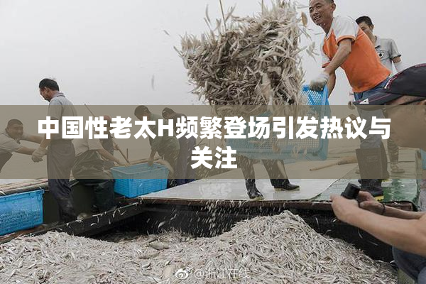 中国性老太H频繁登场引发热议与关注